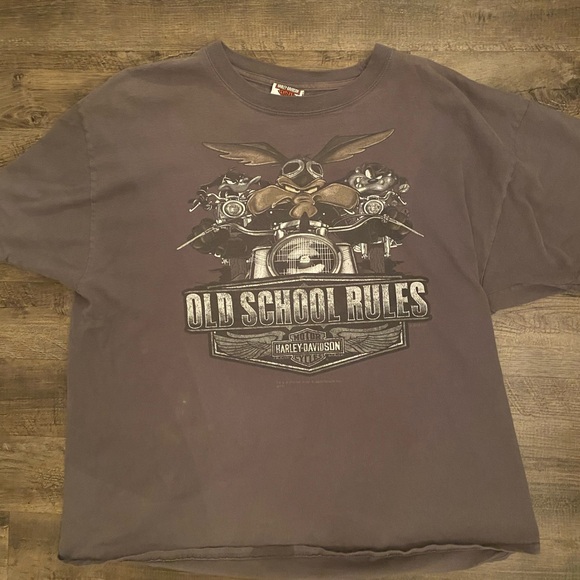 Harley-Davidson Other - Harley Davidson t-shirt